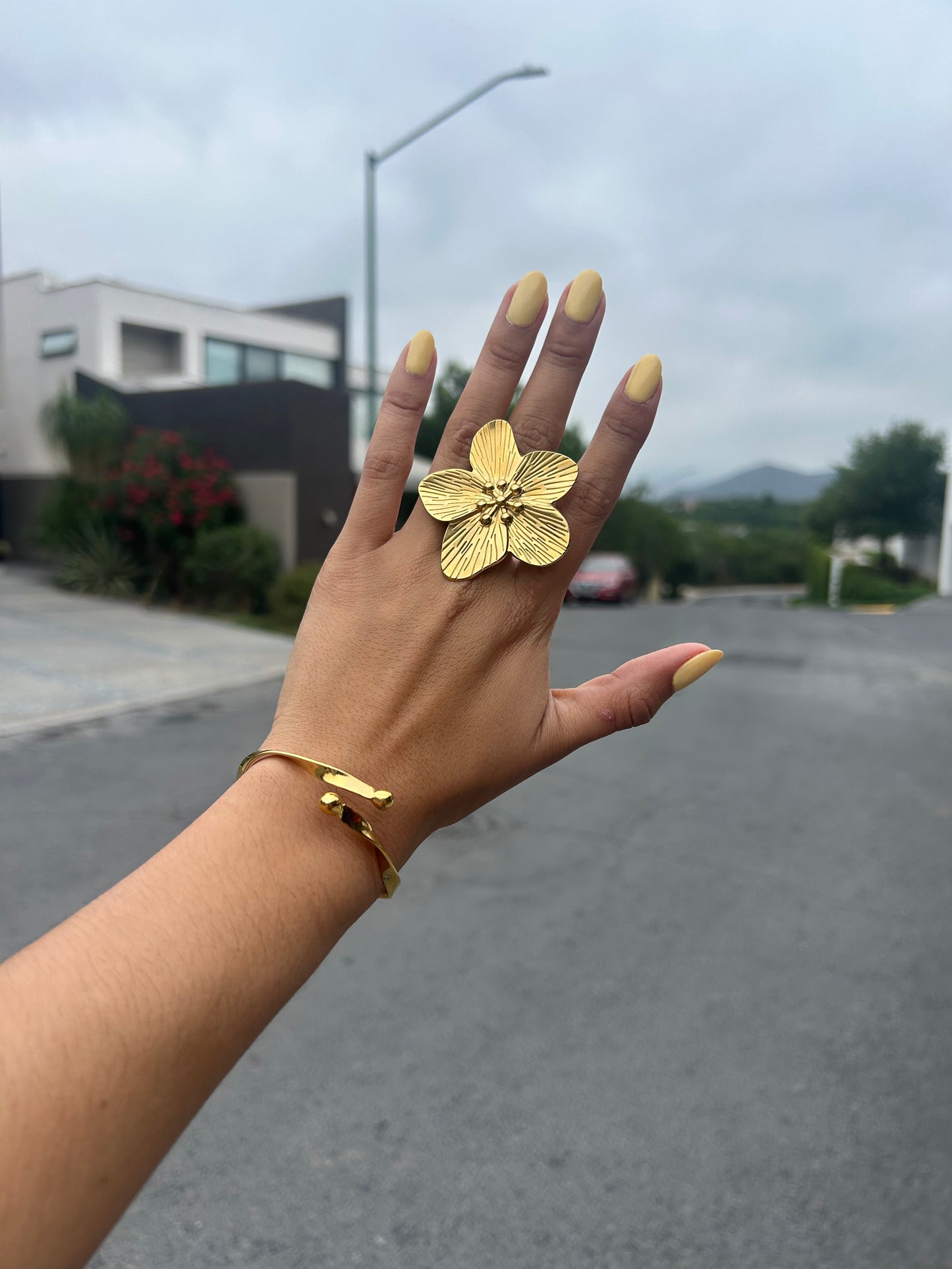 Pulsera PHI ajustable